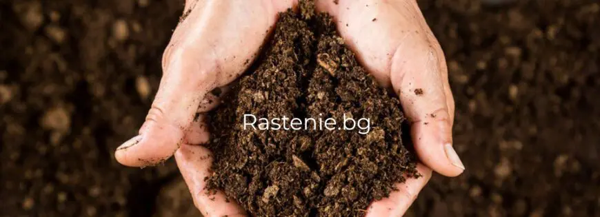 как да понижим PH на почвата