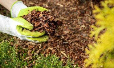 statiy-za-gradinata-novaf49-500x350h