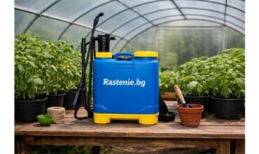 listna-tor.jpg пръскачка за растения върху маса в оранжерия до саксии с разсад Rastenie.bg