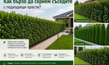 hrasti-za-uedinenie-v-gradinata.jpg Видове храсти подходящи за жив плет