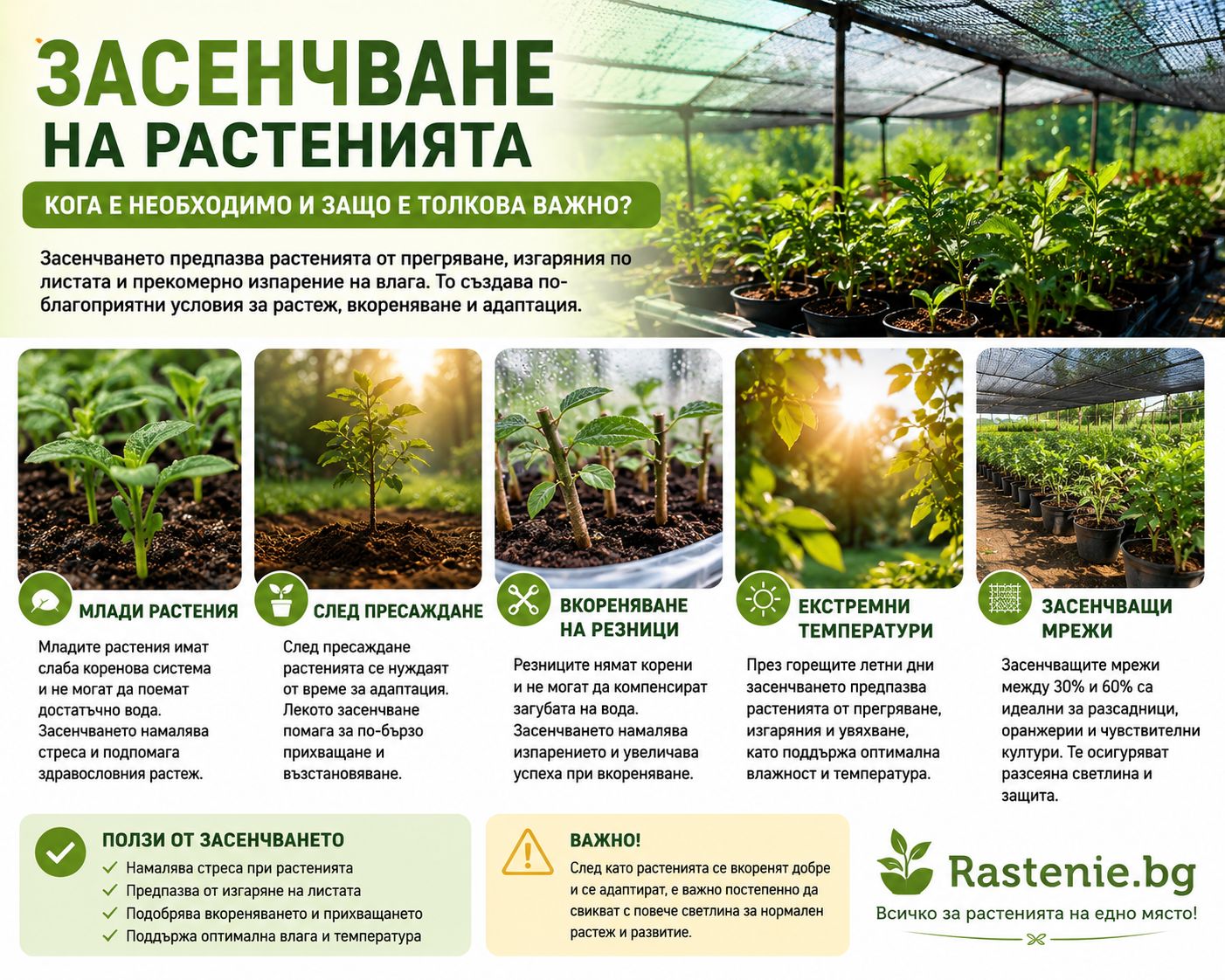 Ползи от засенчване с мрежа през лятото